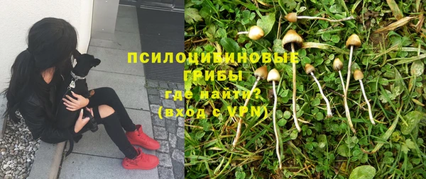 ALPHA PVP Аркадак